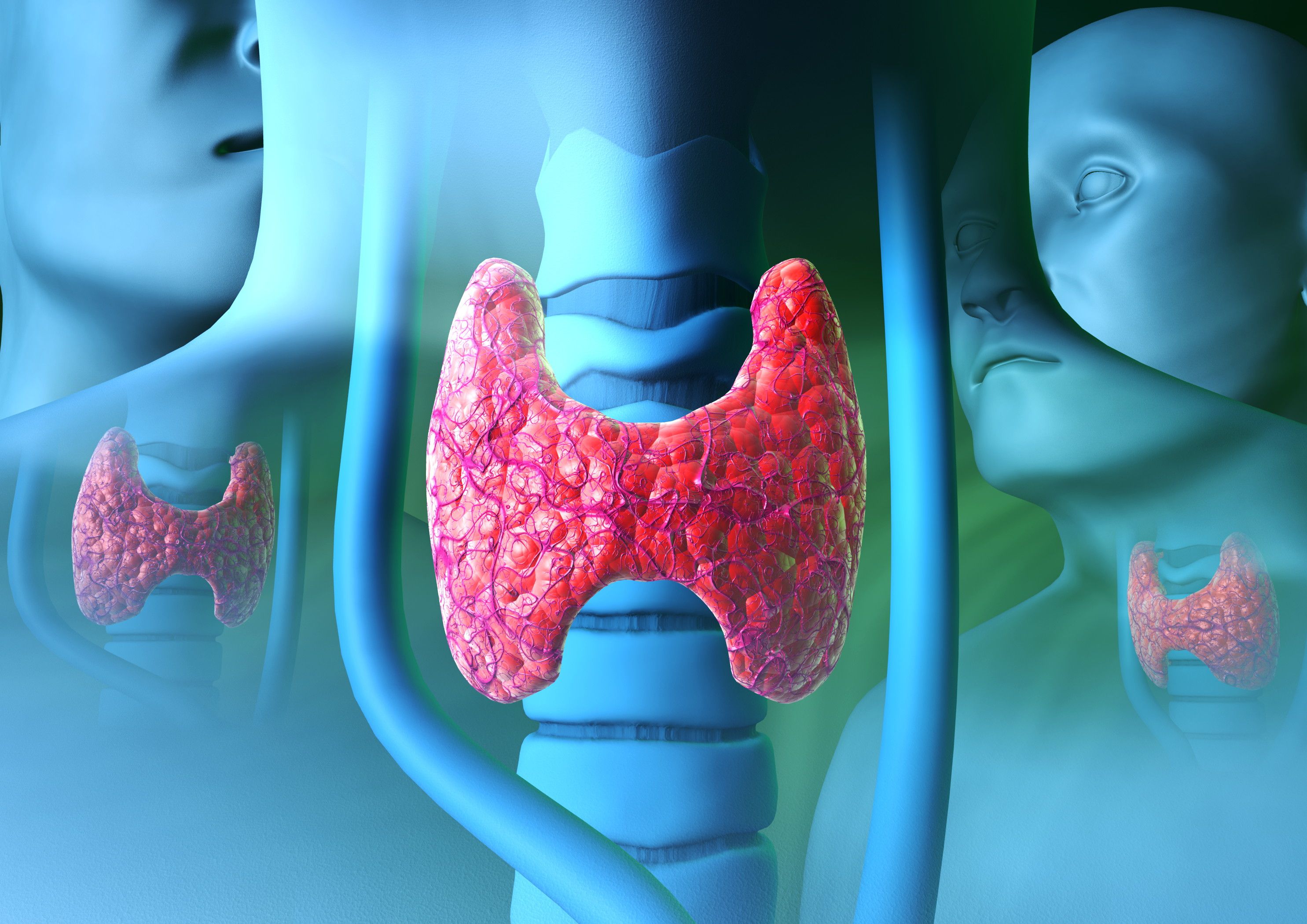 the-5-most-harmful-thyroid-myths-explained