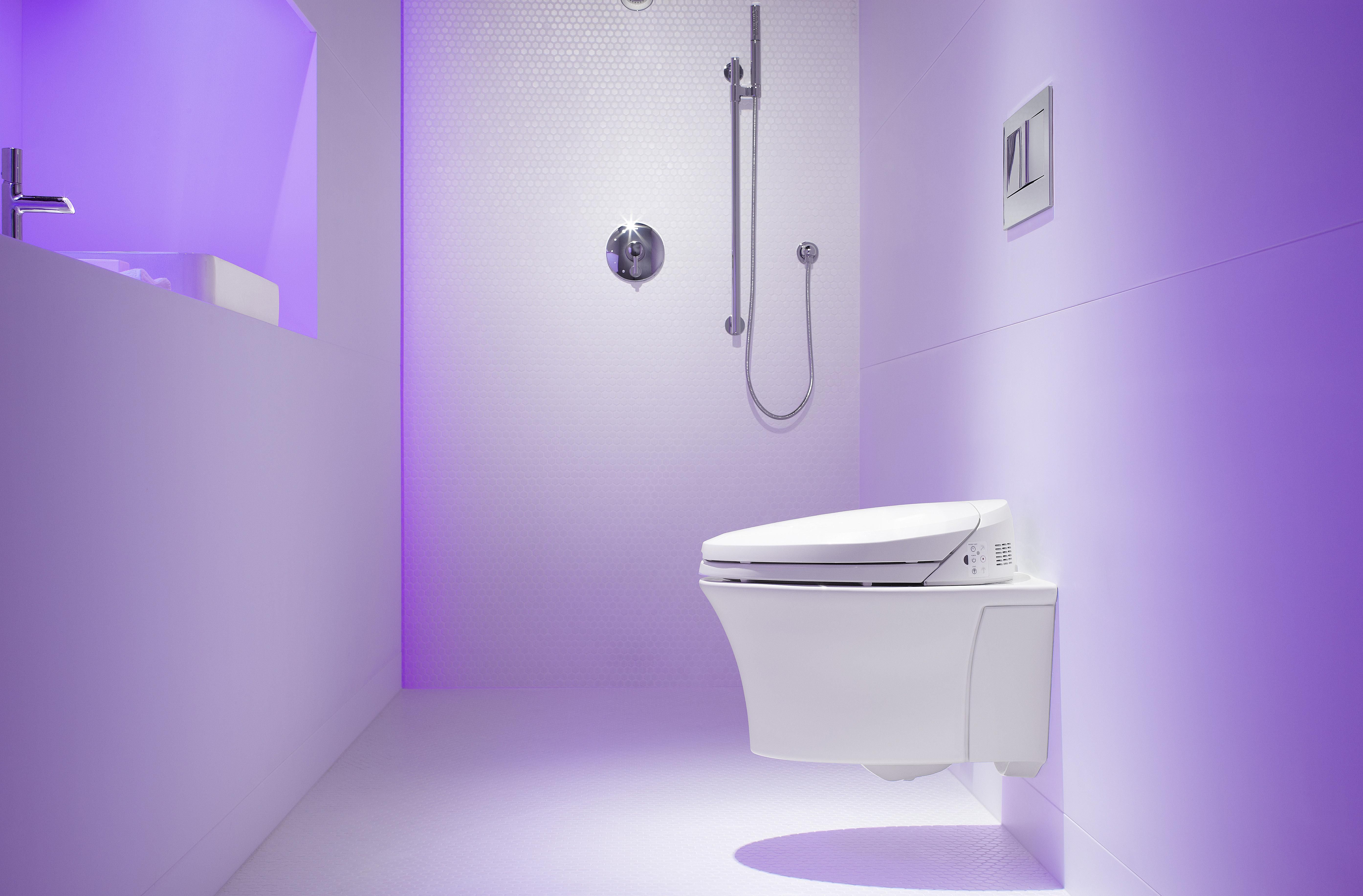 11 Features to Avoid When Buying a New Toilet