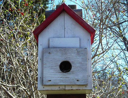 Safe and Easy Shelter for Winter Birds