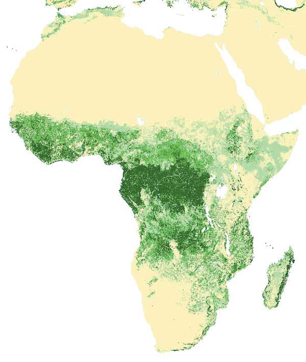 Forest Map Of Africa 2022