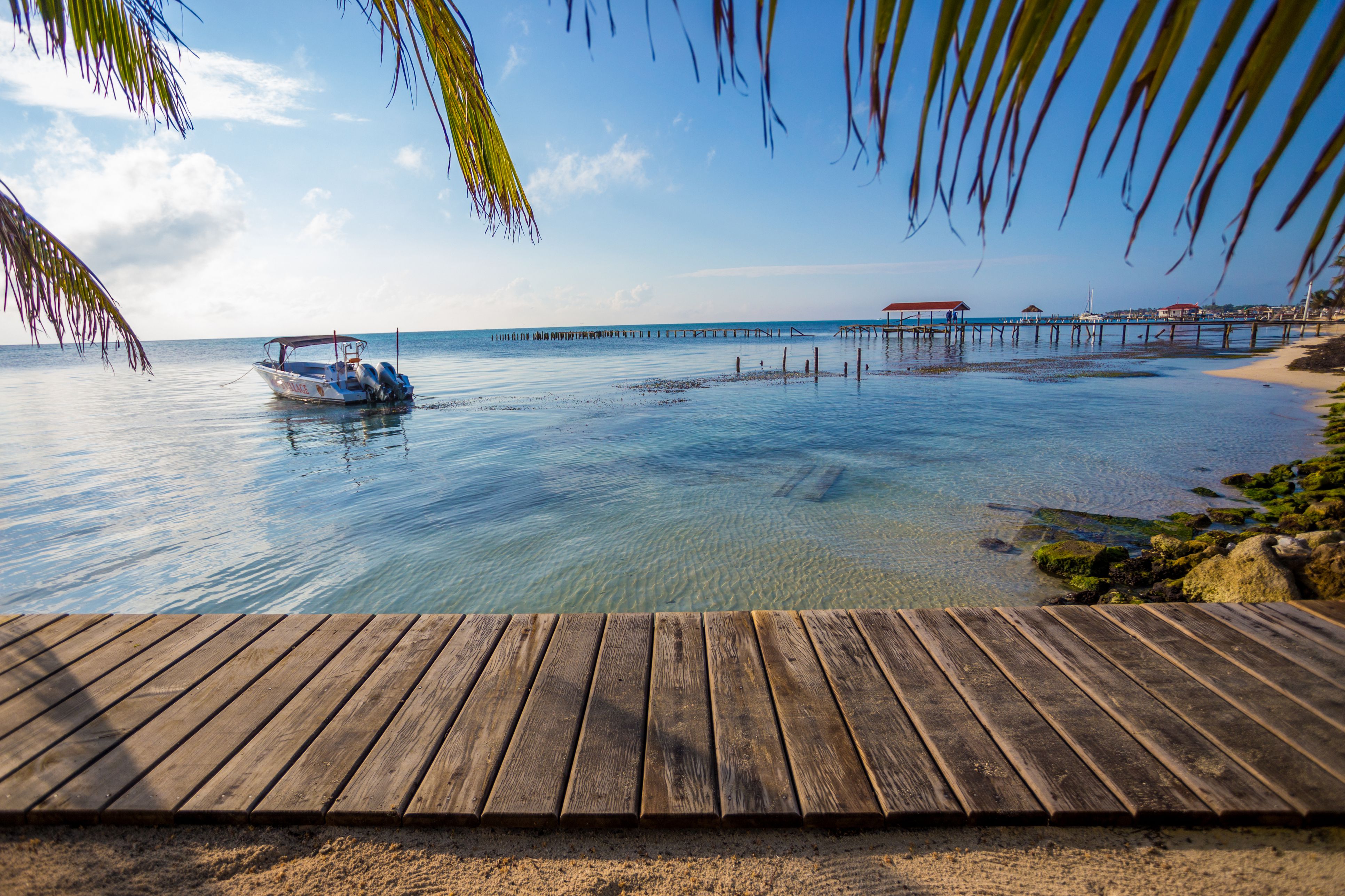 travel mexico to belize