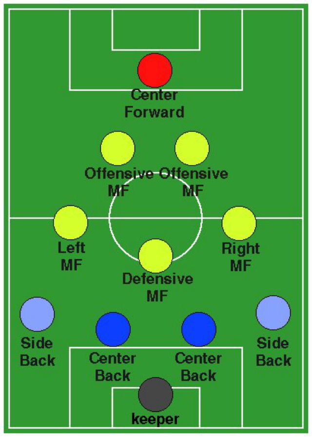 Soccer Tactics: The 4-2-3-1 Formation