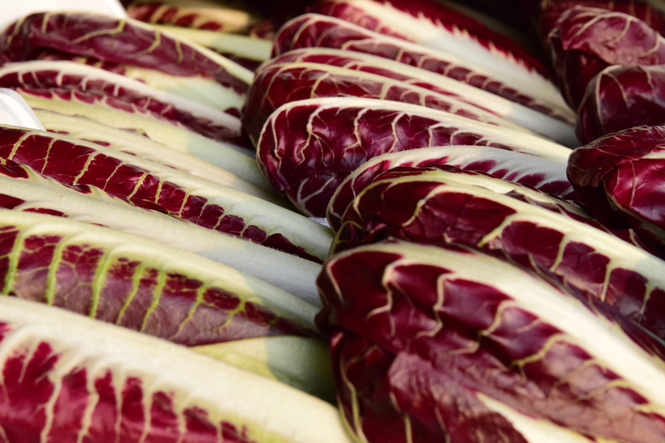 All About Radicchio (Radicchio Rosso)