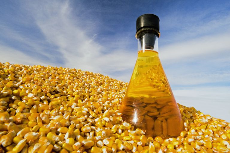 Feedstock Definition and Examples