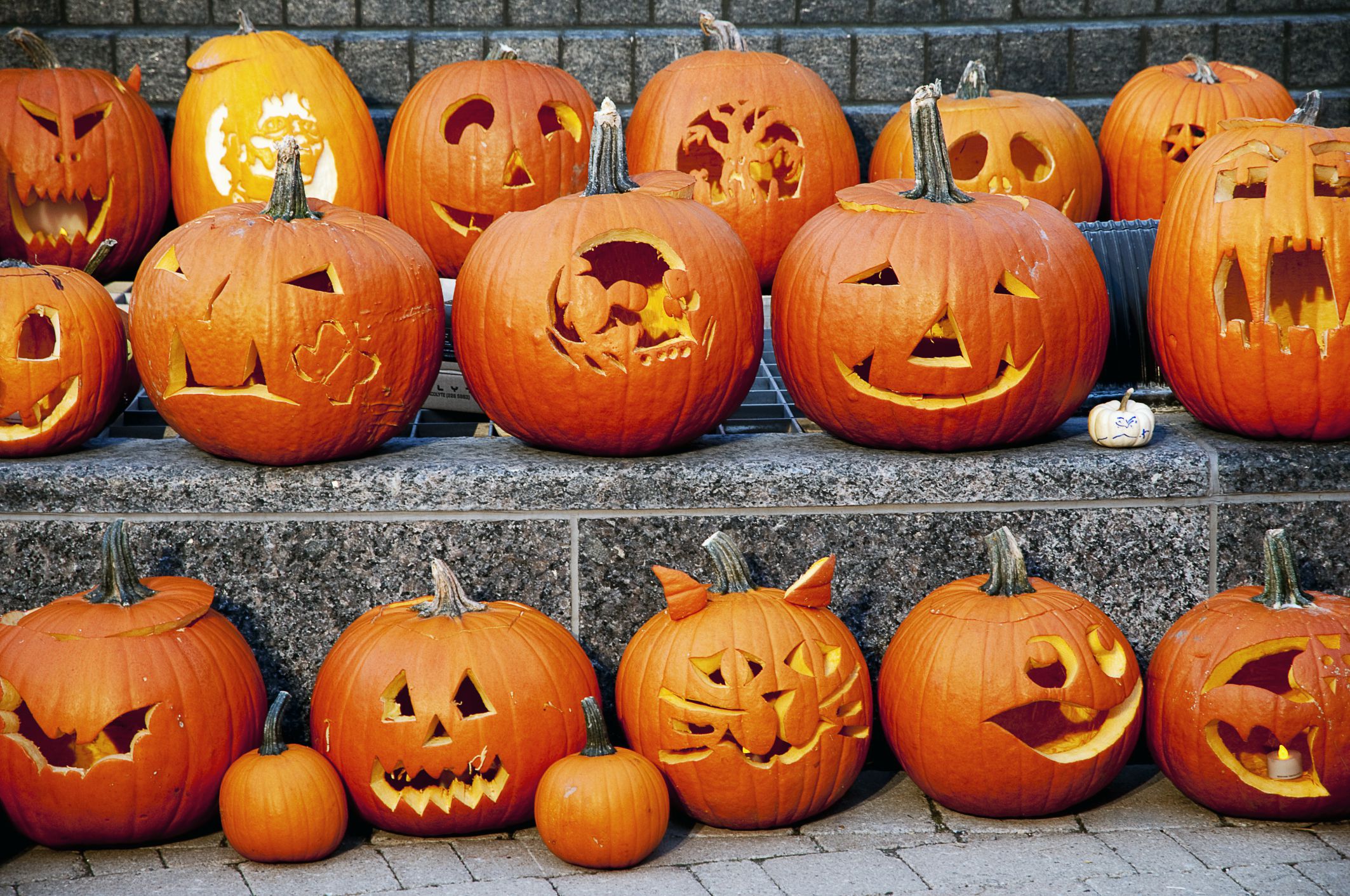 Photos Of Jack O Lantern Faces