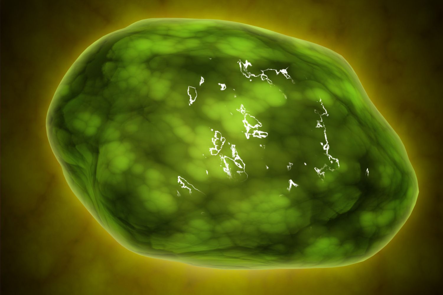 What Are Lysosomes and How Are They Formed?