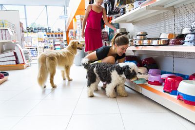 Pet,pet store,pet supplies plus,pet finder,pet rescue saga,pet supermarket,pet insurance,pet friendly hotels