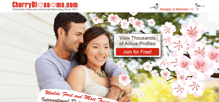 6 Best Asian Online Dating Websites