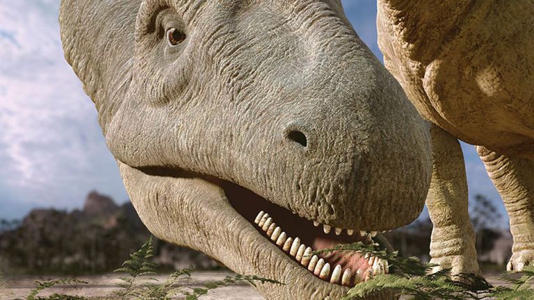 10 Facts About Argentinosaurus