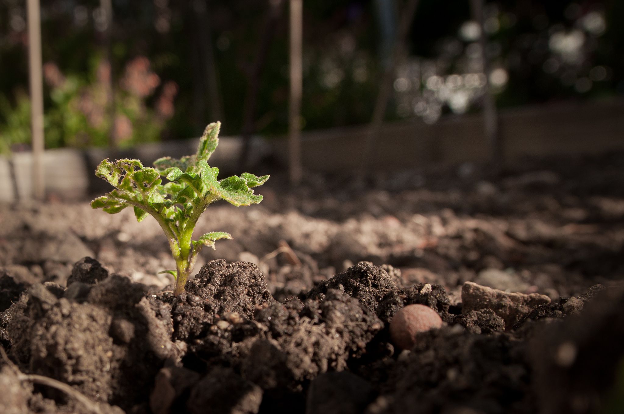 5 of composition soil Soil Amendments Organic