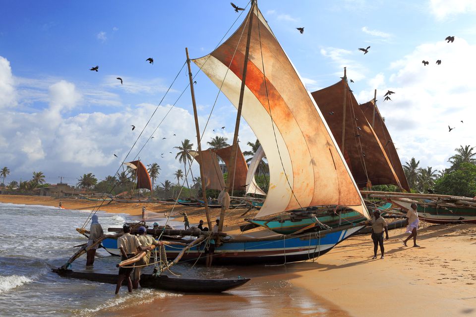 Negombofishing boats.