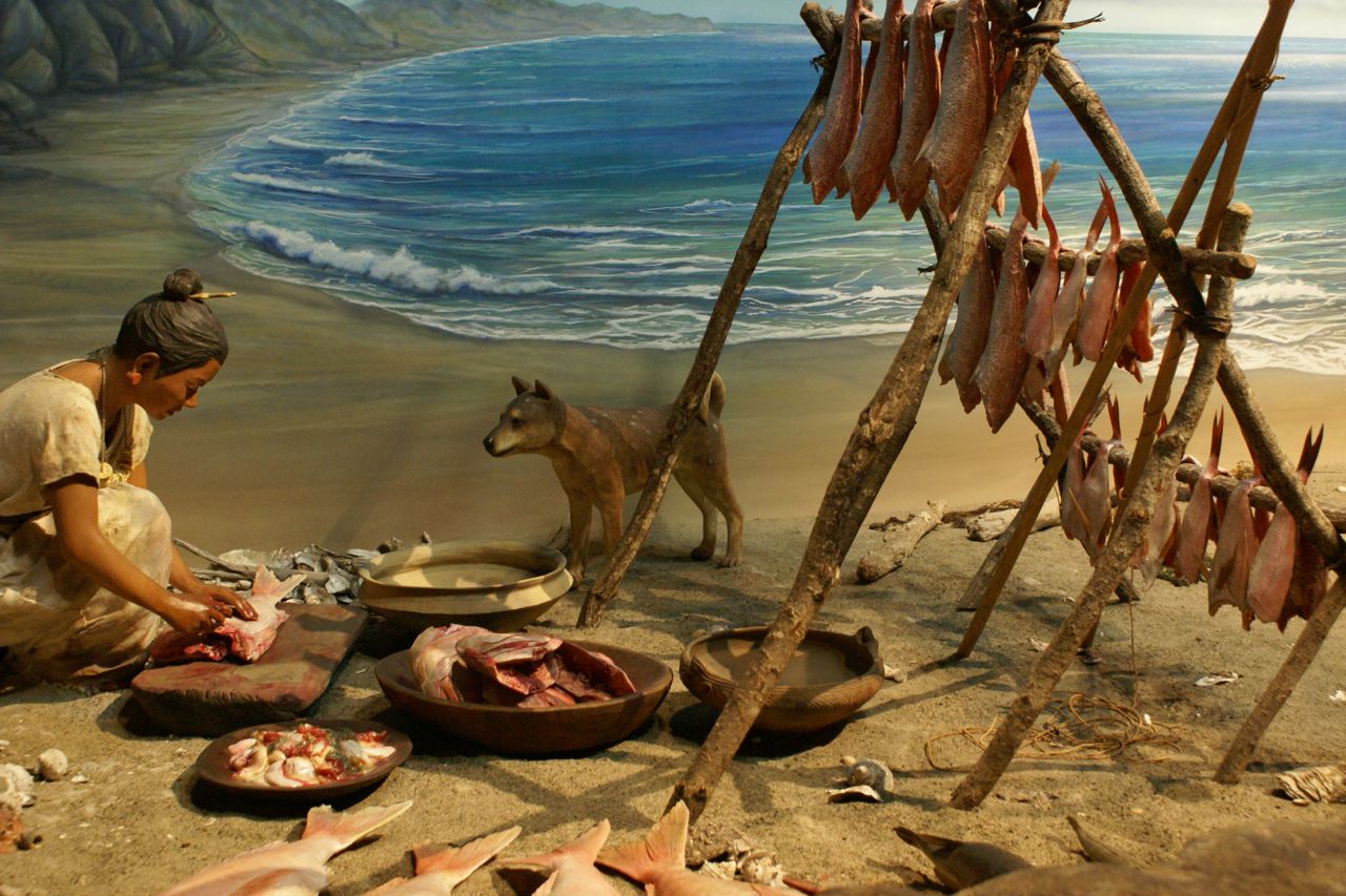 How Did The Hunter-Gatherer Lifestyle Change Over Time