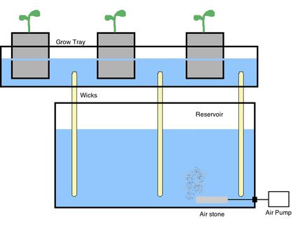 Hydroponic Gardening For Dummies