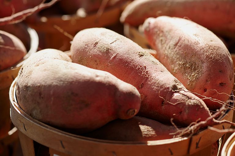 Todo Sobre El Camote Tipos Origen Usos Conservación Y Recetas 4532