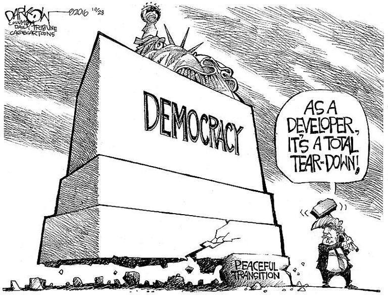 Image result for Cartoon Donald Trump , democracy