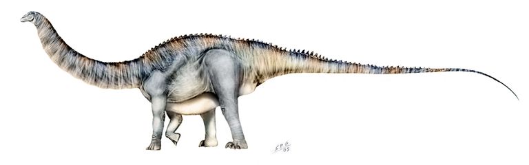 Pictures and Profiles of Sauropod Dinosaurs