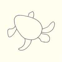 How to Draw a Sea Turtle: Step-By-Step Instructions