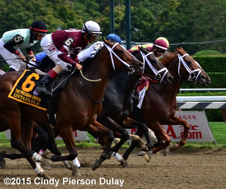 Placing a Boxed Trifecta Bet in Horse or Dog Racing