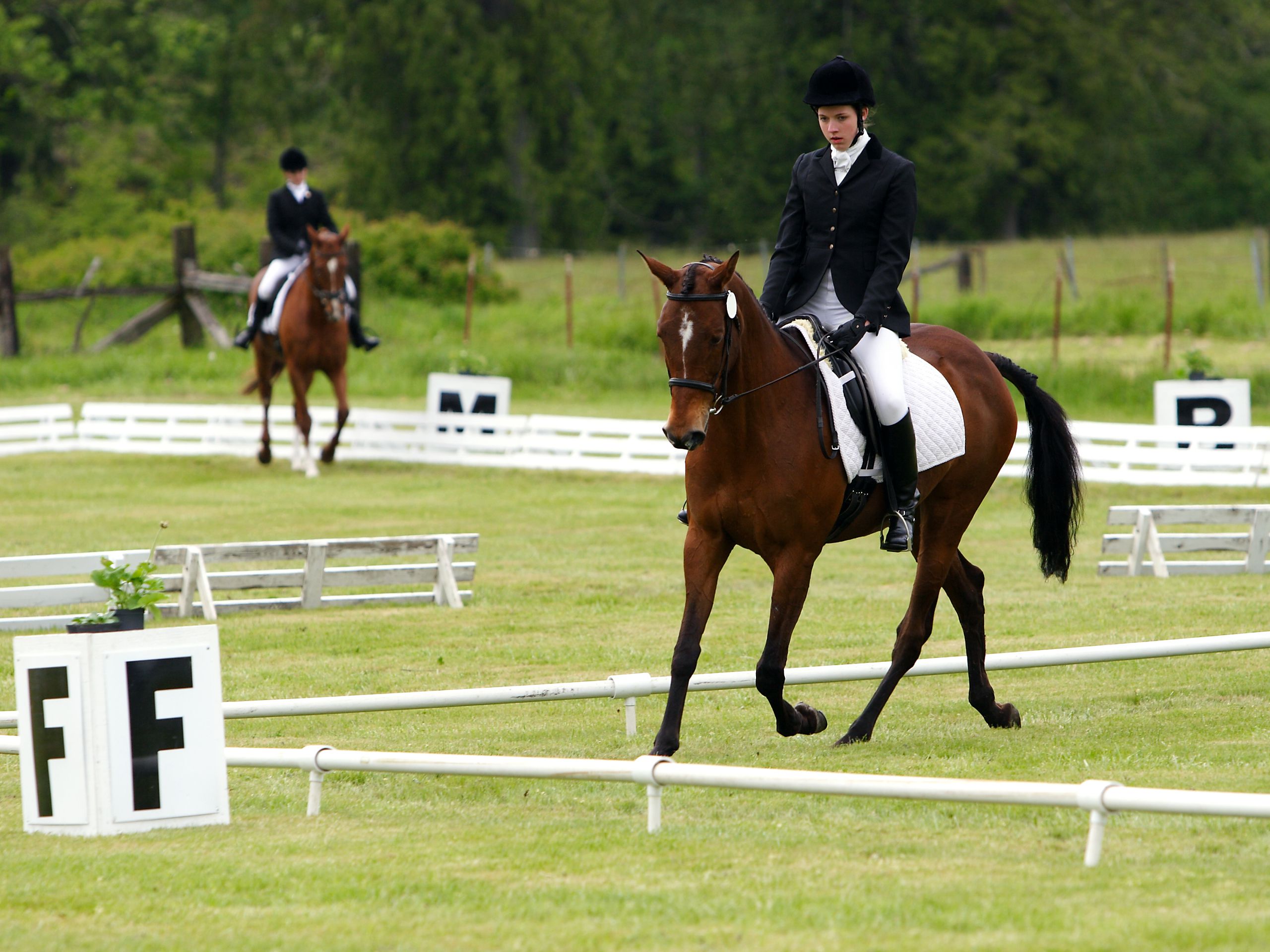 the-two-dressage-arenas