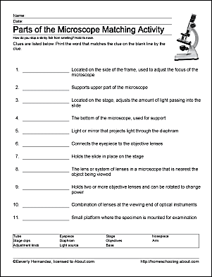 Learn About Microscopes With Fun, Free Printables