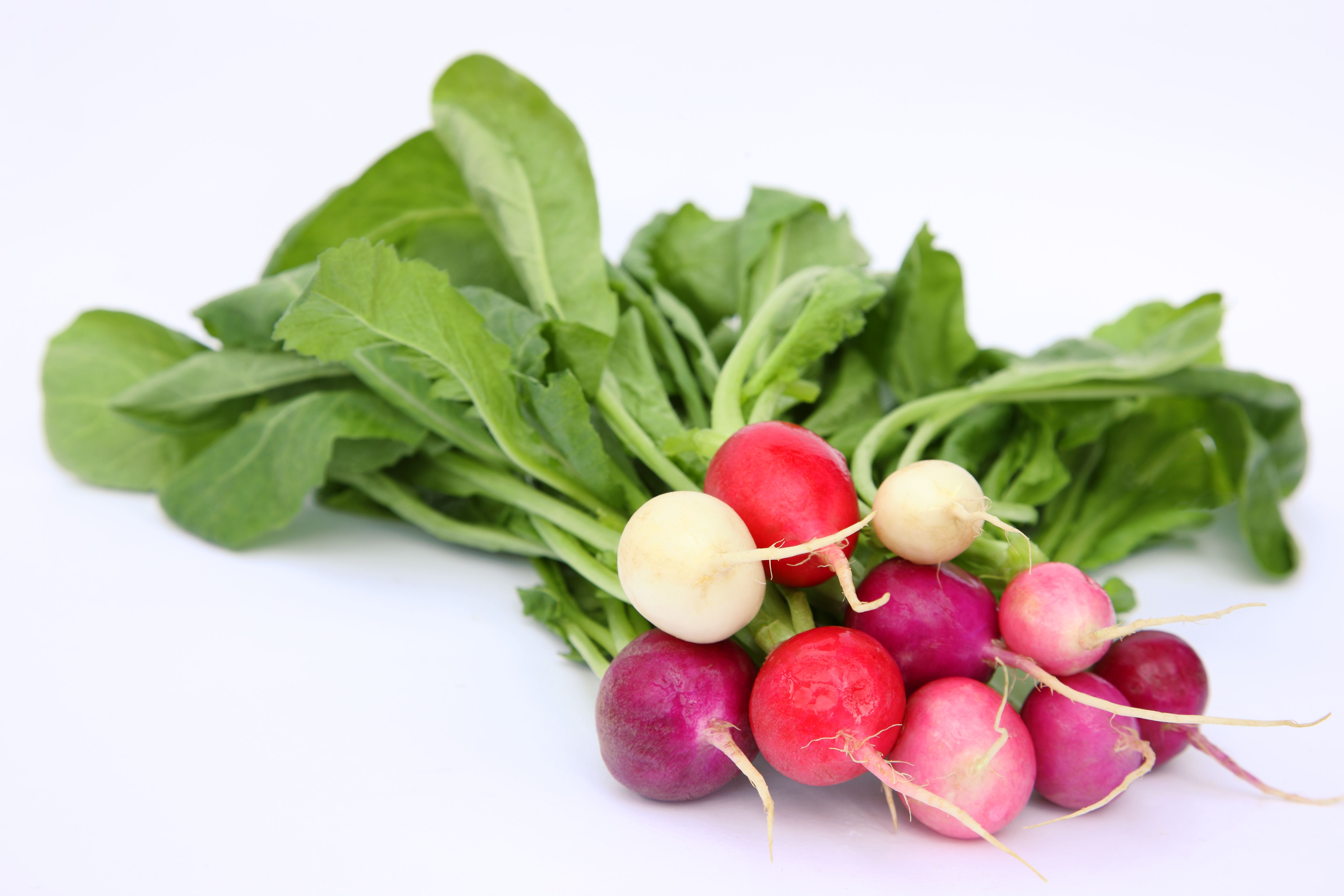 Are Radishes Low in Carbohydrates?