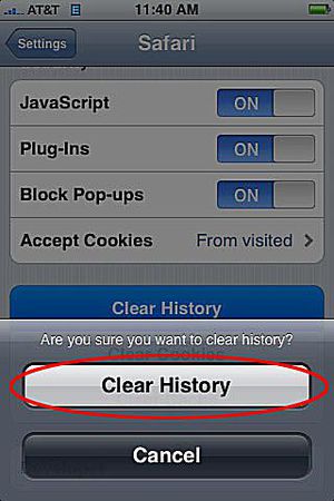 clear browser history safari iphone