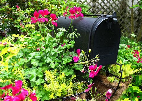 Gorgeous Mailbox Garden Ideas