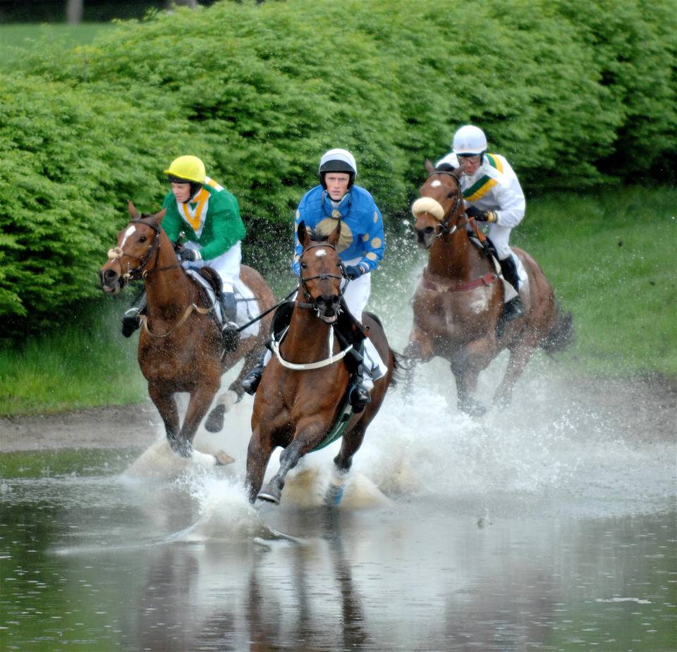 Virginia Gold Cup Steeplechase Races