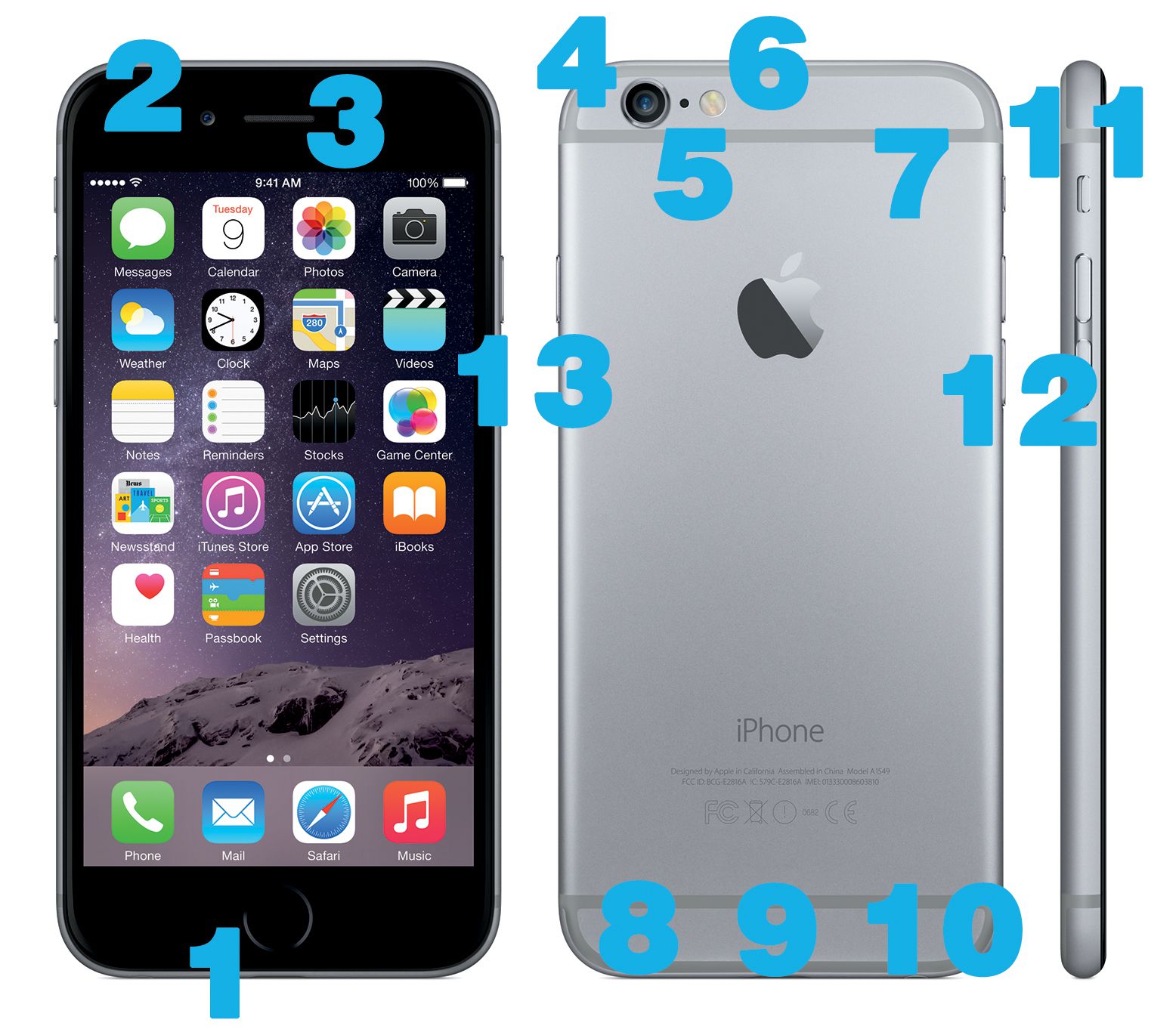 iphone diagram buttons of iPhone 6 Hardware iPhone Diagram and 6 Plus