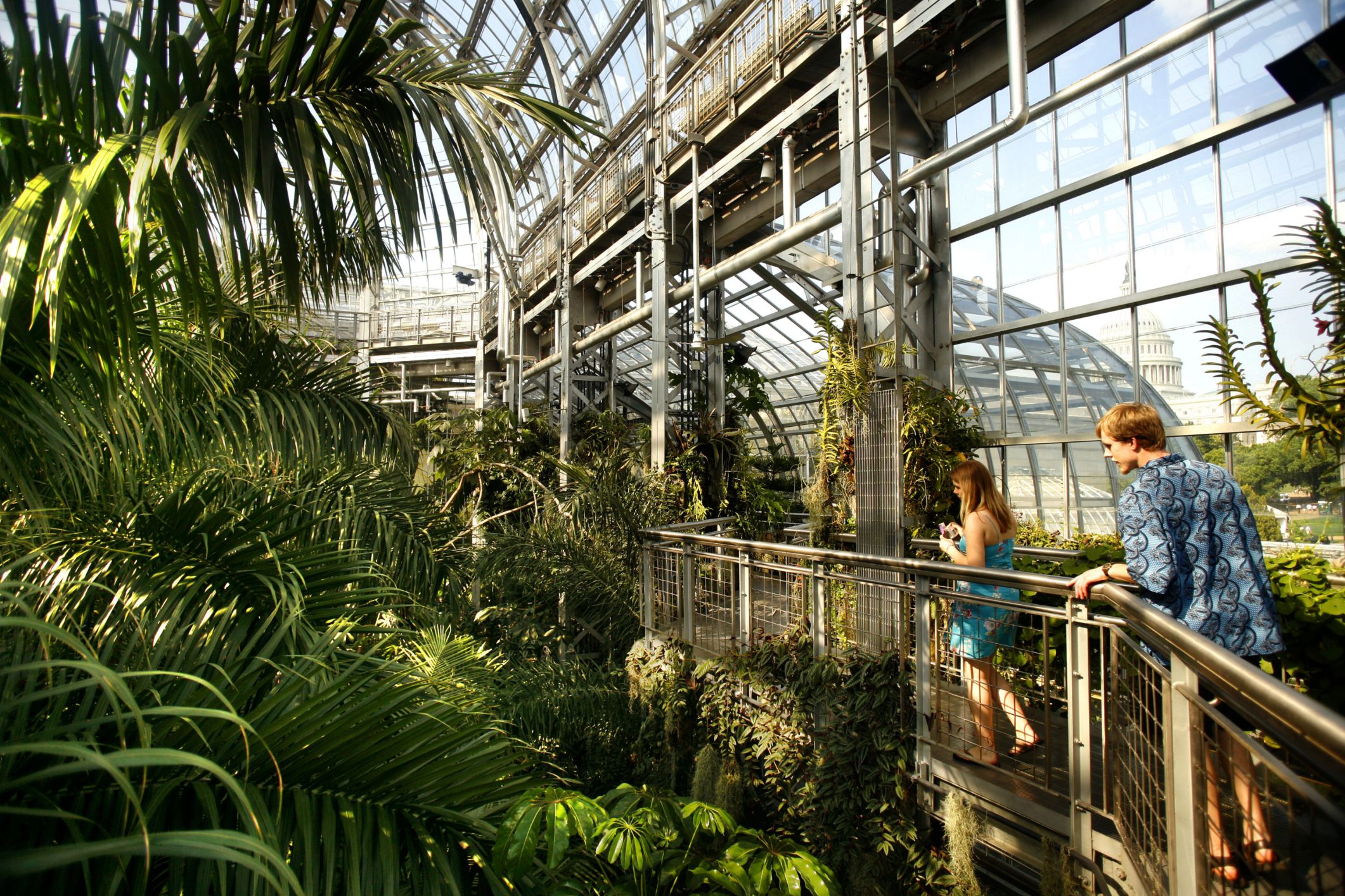 U.S. Botanic Garden - Washington, DC's Living Plant Museum