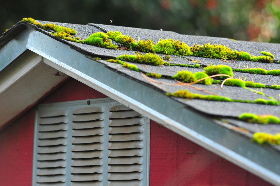 moss out for roofs