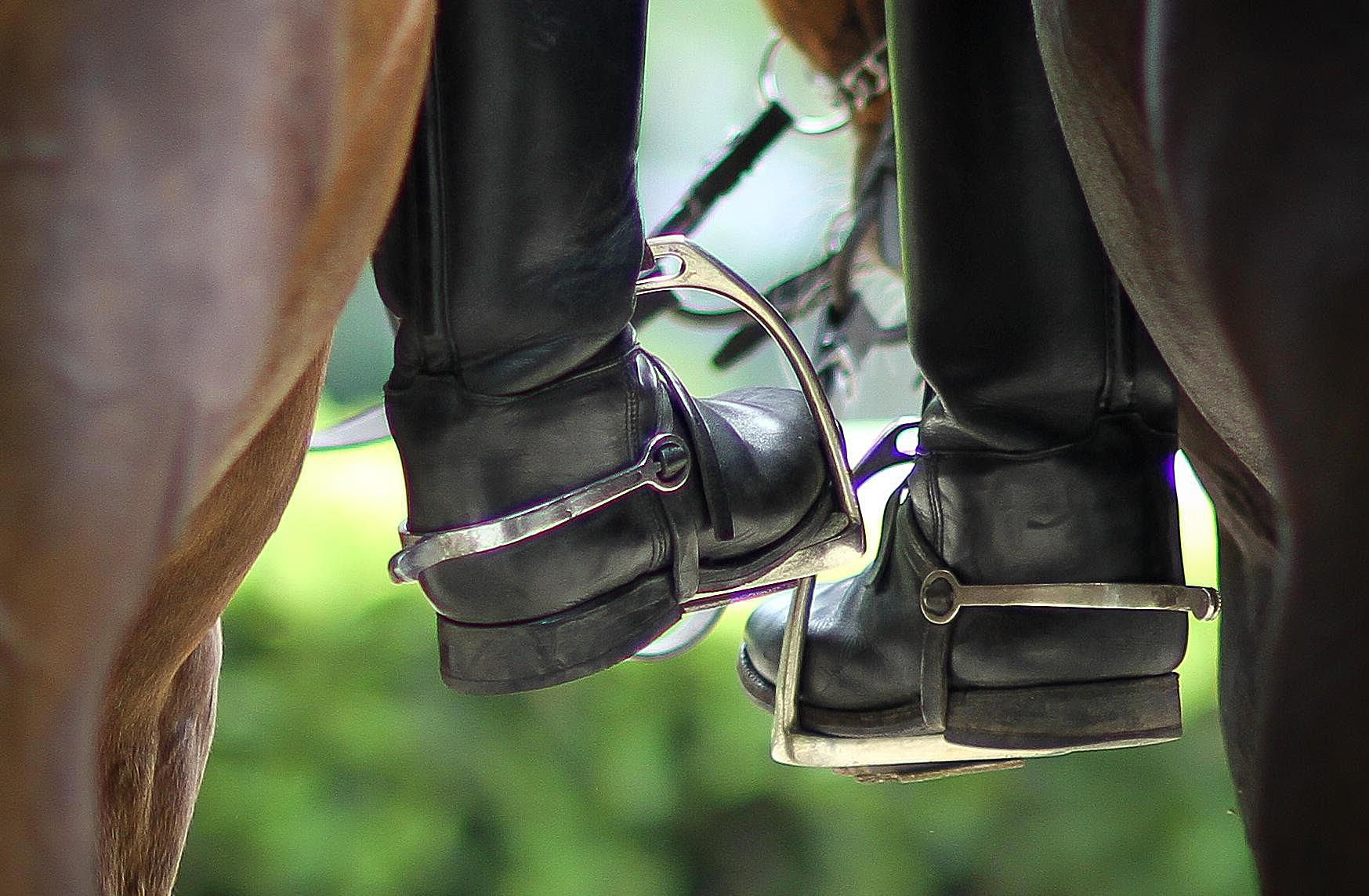 cloud boots for horses