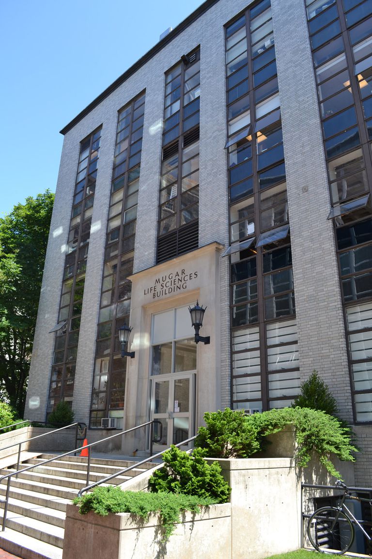 Northeastern University Photo Tour