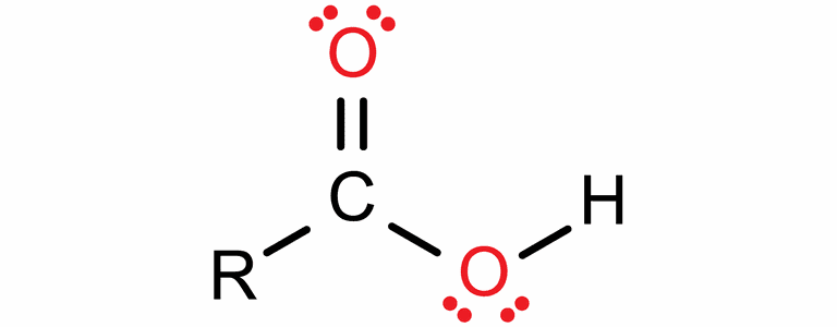 ester functional group