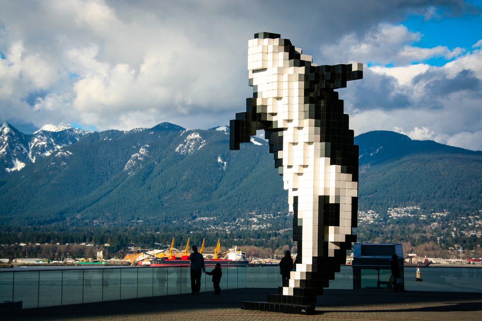 Digital Orca in Vancouver, BC