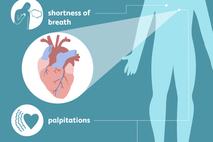 Heart Health - Conditions, Daily Tips, and More