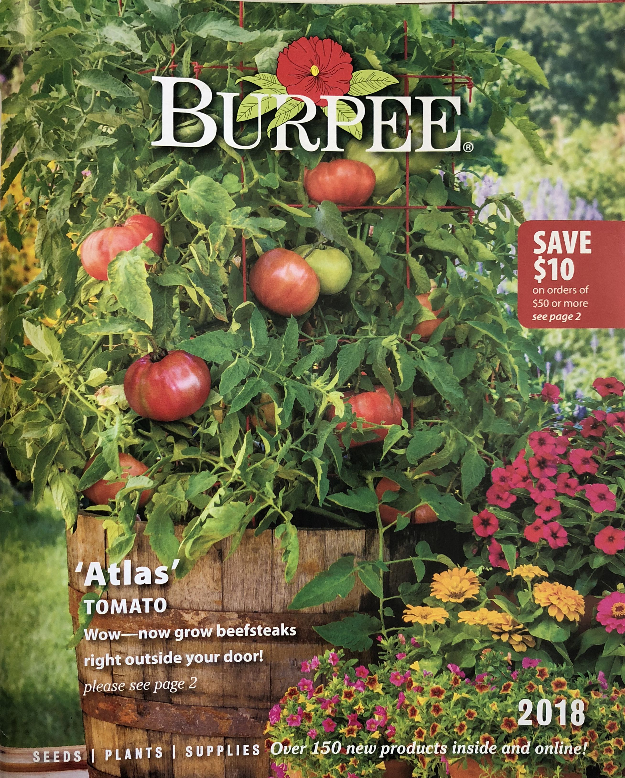 Burpee plant catalog Ericvisser