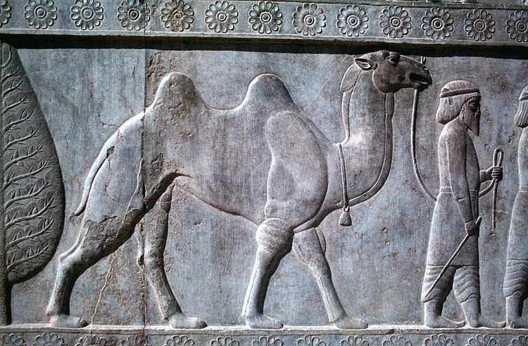 Relief of Parthians, the Apadana, Persepolis, Iran