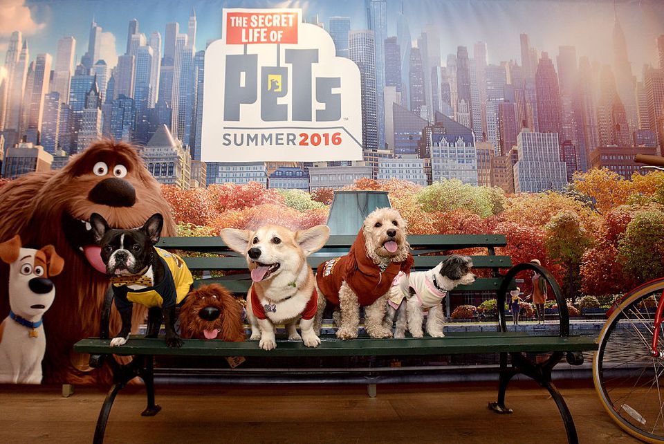 secret life of pets movie full movie