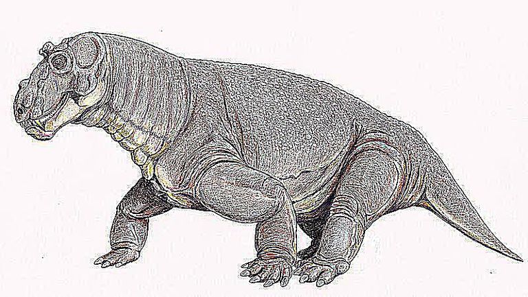 estemmenosuchus