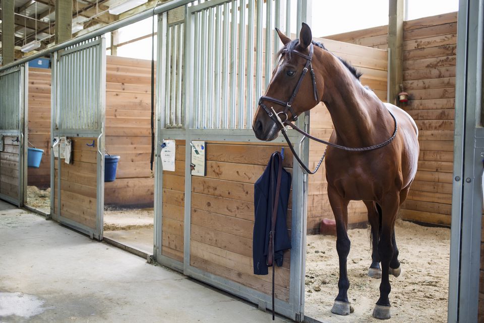 How to Choose a Boarding Stable for Your Horse