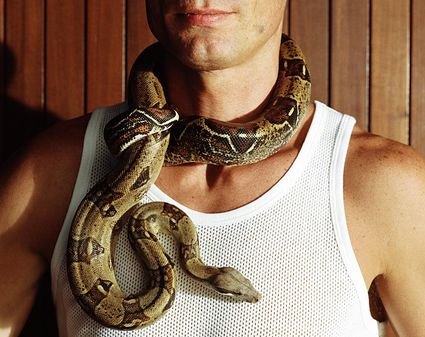 caring for a pet boa constrictor