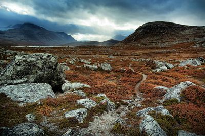 tundra biome biomes carbono tundras bioma coldest thoughtco vegetasi desert taiga ecosystems arktischen regionen berkembang daerah khas grassland characterized convertirse