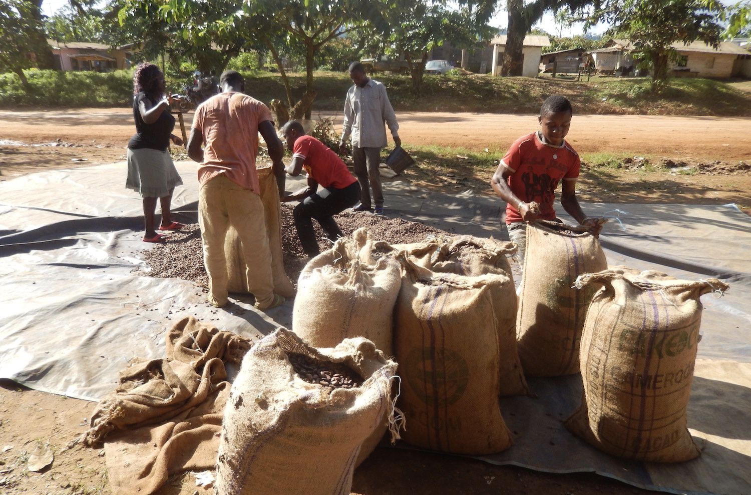 Child Labor Is Still a Huge Problem in Cocoa Industry