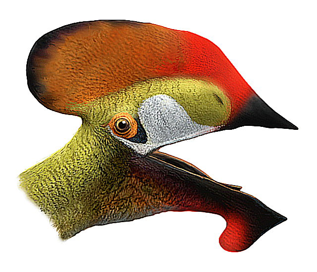 crested pterosaurs