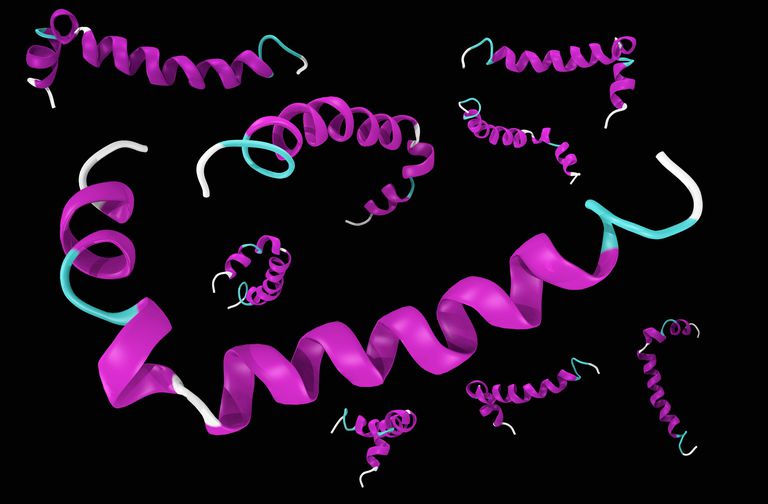 The Amyloid Cascade Hypothesis Of Alzheimer's Disease