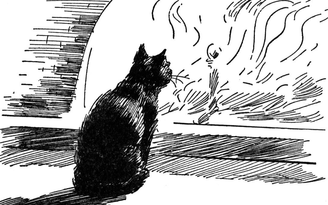 Сказочный черный кот. Черный кот иллюстрация. Черная кошка иллюстрация. Рисунки черных котов. Кошки черные зарисовки.