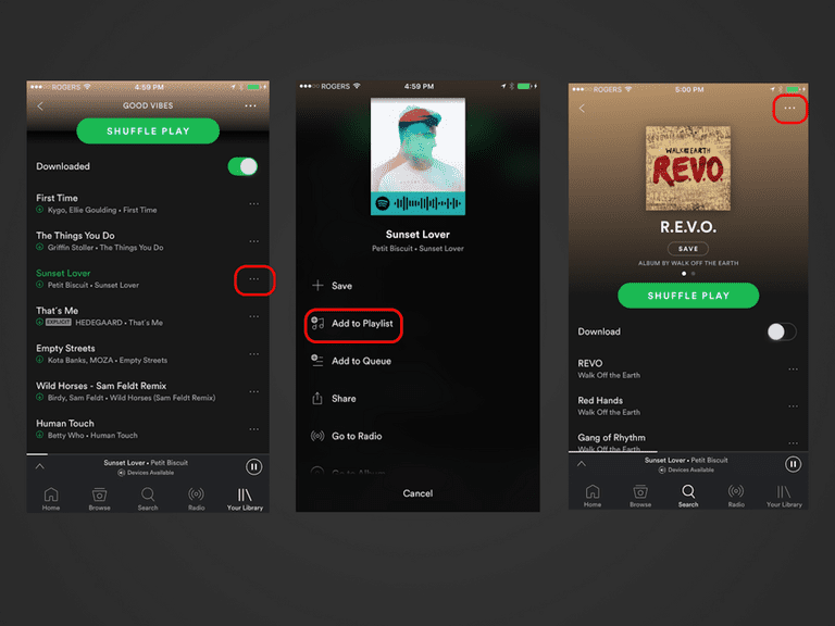 how to download spotify playlists