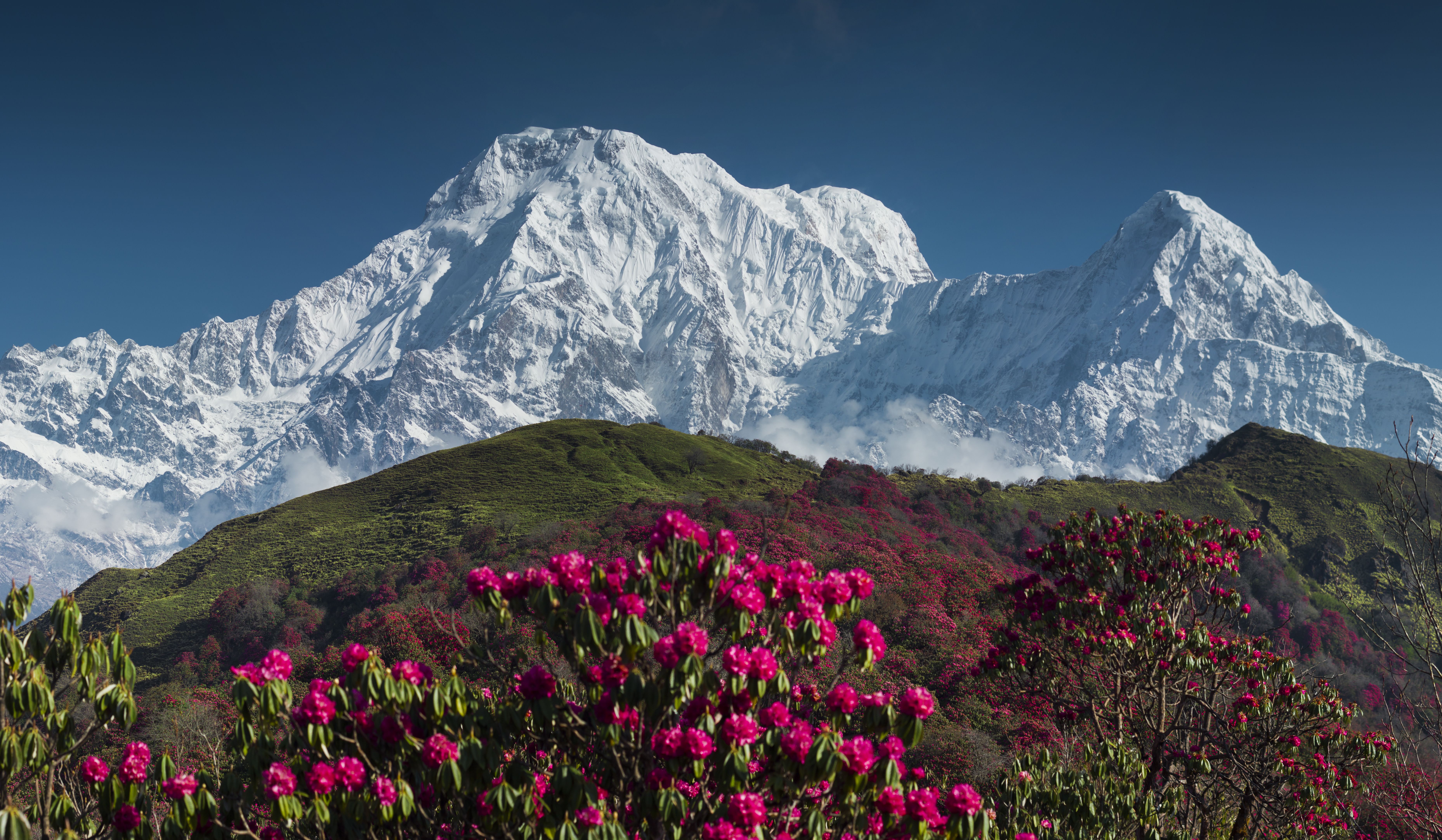 Asia in Spring Weather and Spring Festivals