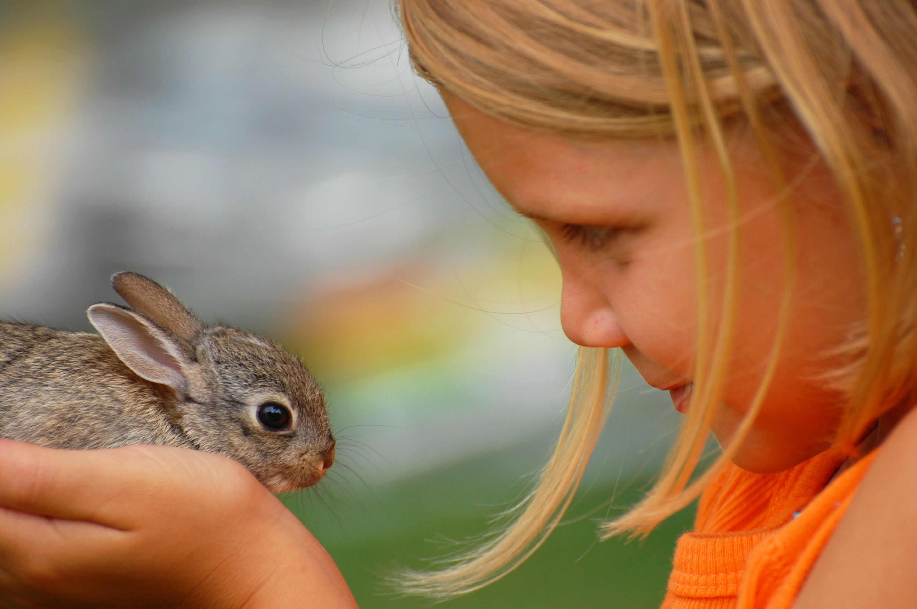 Top 5 Exotic Pets for Kids